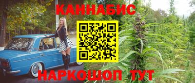 стафф Владикавказ