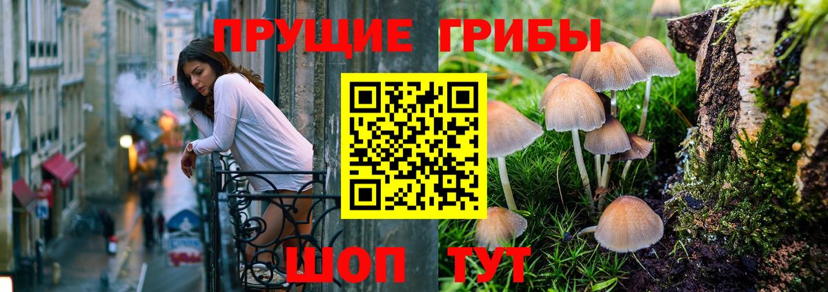 Галлюциногенные грибы MAGIC MUSHROOMS  как найти закладки  Алатырь  Вход с VPN 